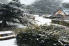 Bosque Serrano