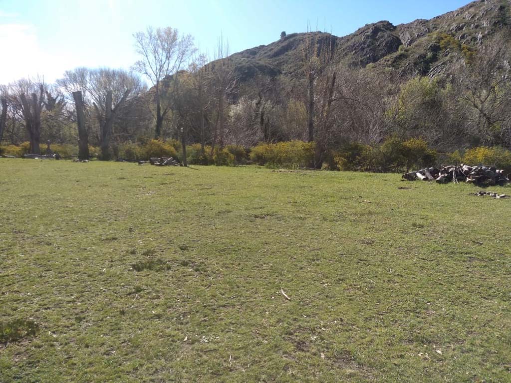 Camping y Cabañas El Pinar