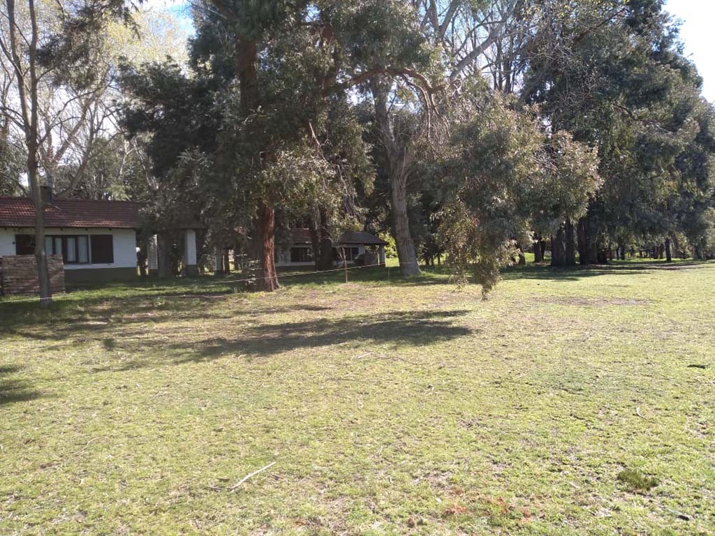 Camping y Cabañas El Pinar