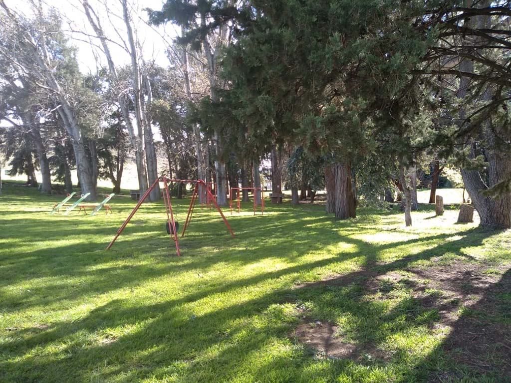 Camping y Cabañas El Pinar