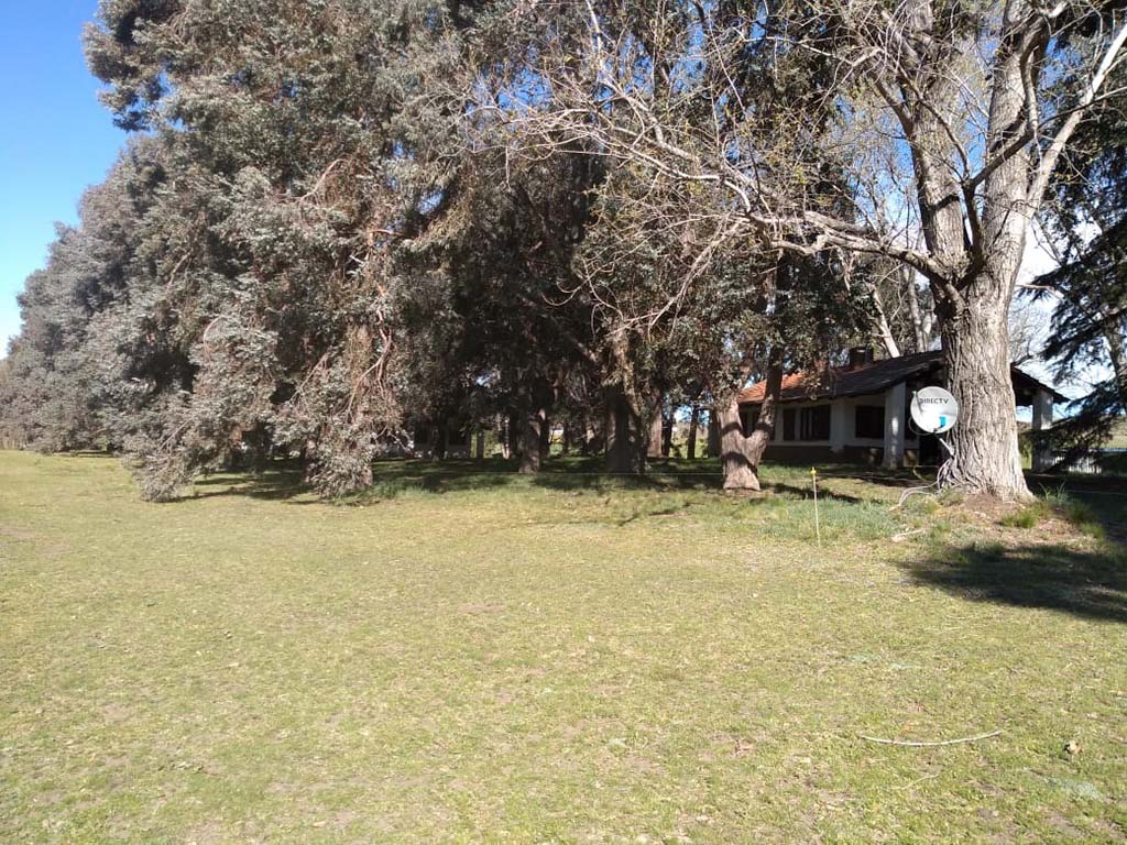 Camping y Cabañas El Pinar