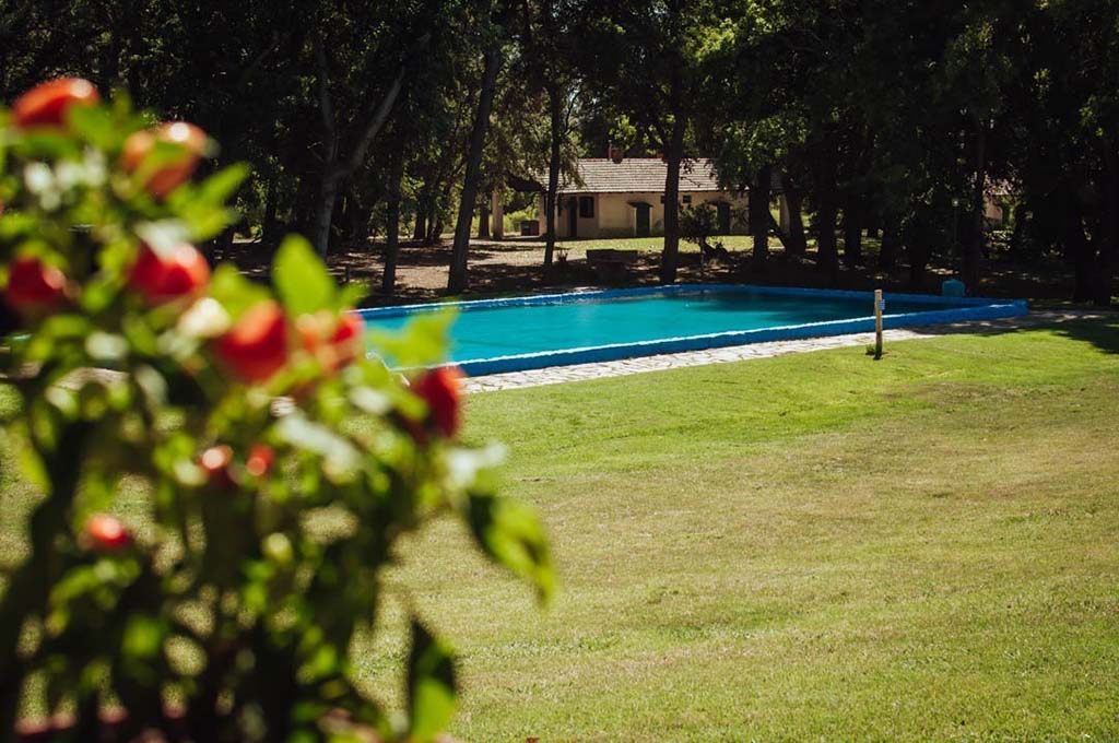 Camping y Cabañas El Pinar