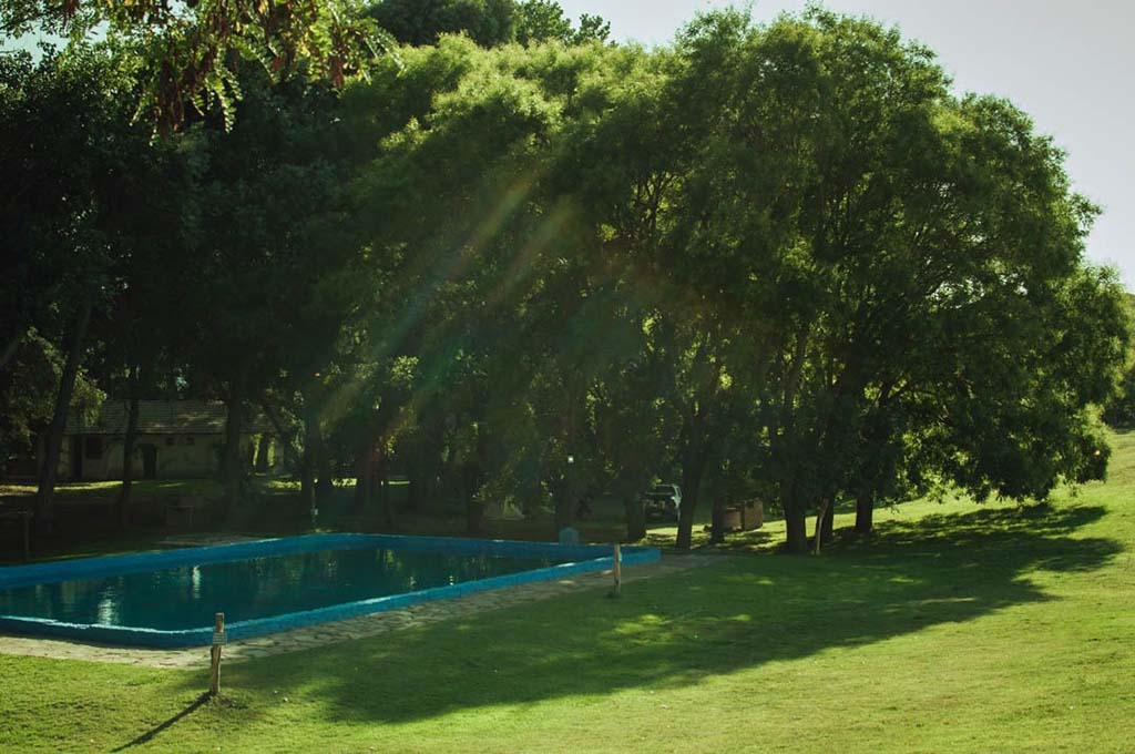 Camping y Cabañas El Pinar