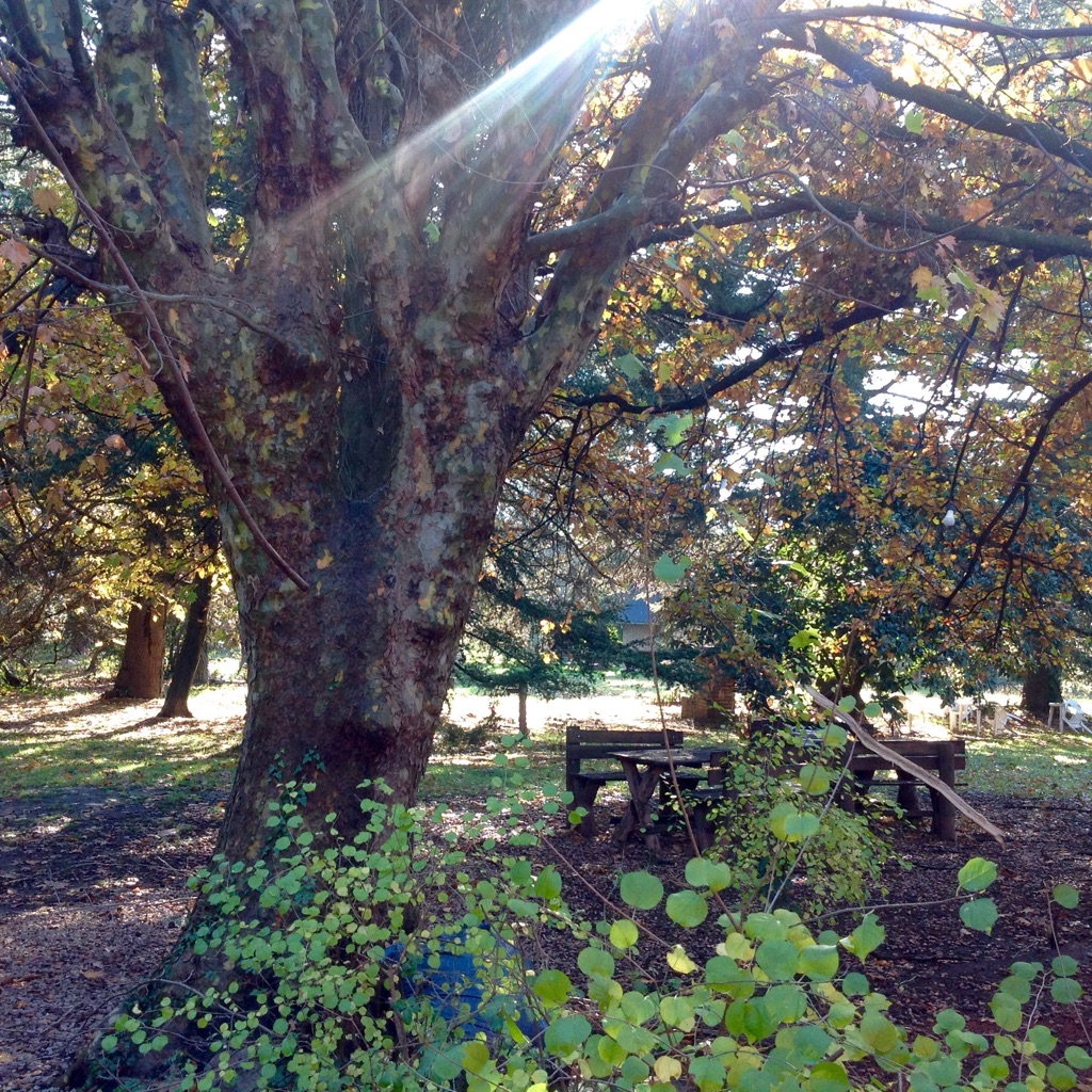 Hosteria La Peninsula