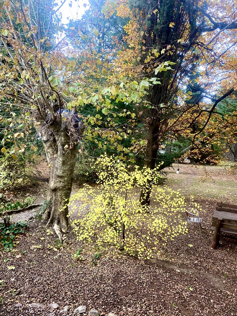 Hosteria La Peninsula